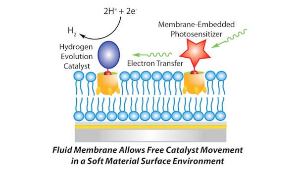 Nanostructures for artificial synthesis