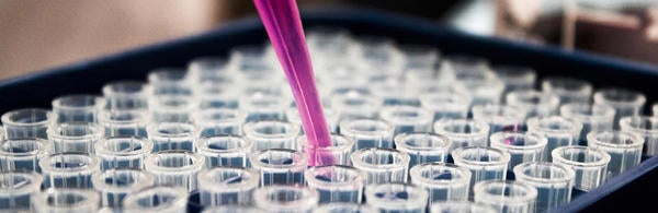 Laboratory Testing with Purple Tube 